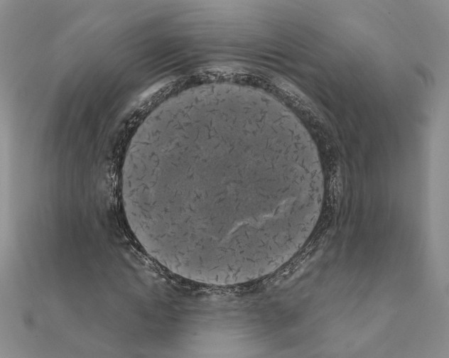 X0000111370822200908211316