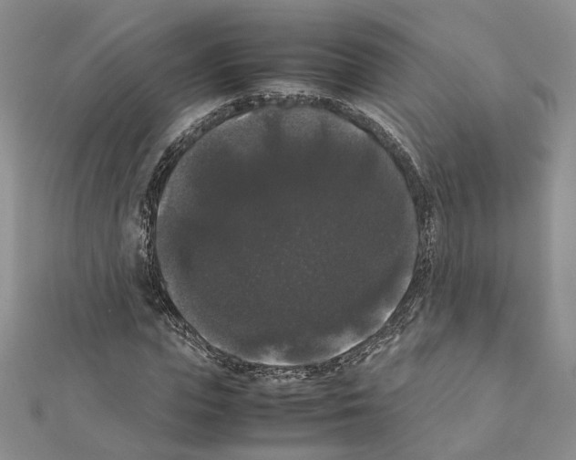 X0000111370823200908211316
