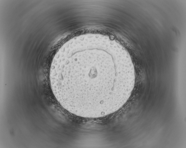 X0000111370824200908211316