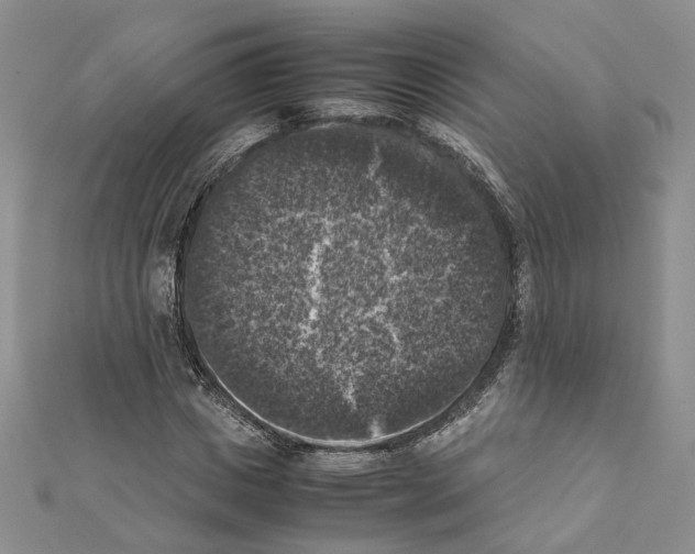 X0000111370825200908211316