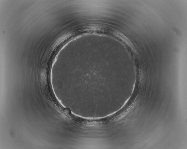 X0000111370826200908211316