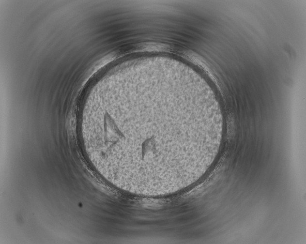 X0000111370827200908211316