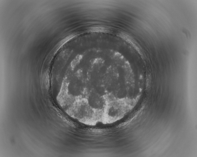 X0000111370829200908211316