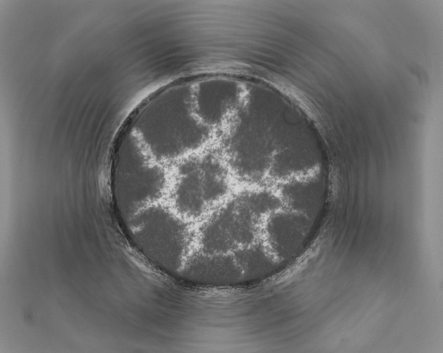X0000111370830200908211316