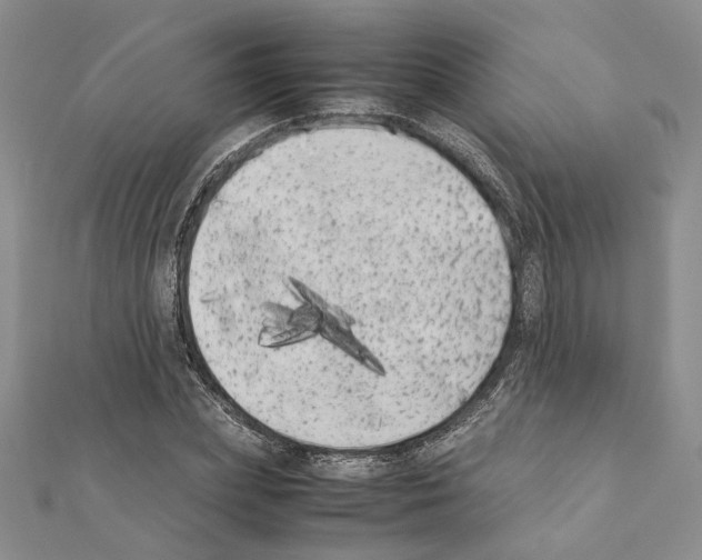 X0000111370831200908211316