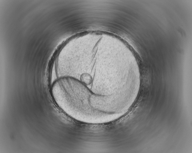 X0000111370832200908211316