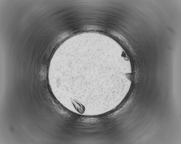 X0000111370833200908211316