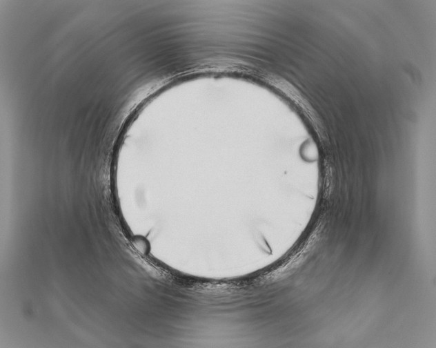 X0000111370834200908211316