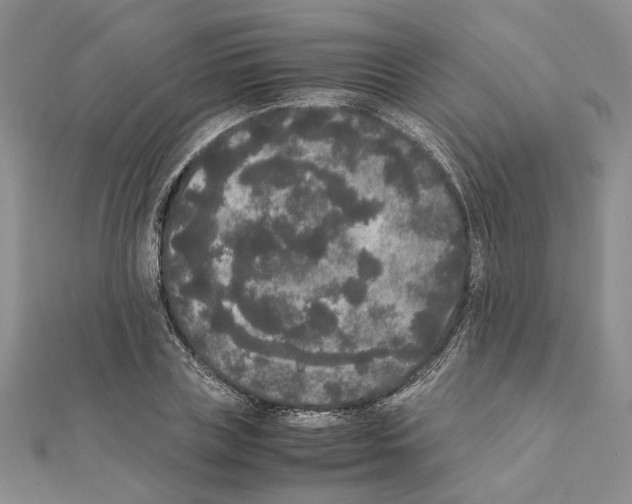 X0000111370835200908211316