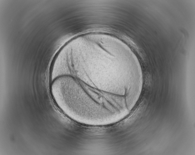 X0000111370836200908211316