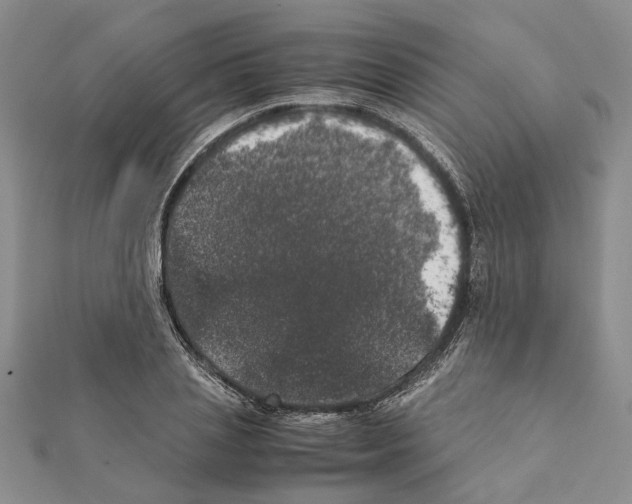 X0000111370837200908211316