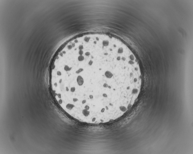 X0000111370838200908211316