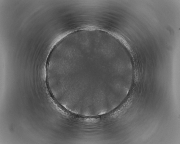 X0000111370839200908211317