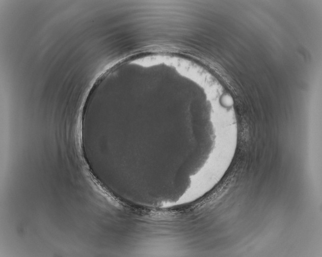 X0000111370840200908211317