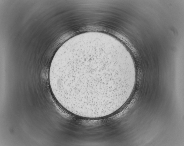 X0000111370841200908211317