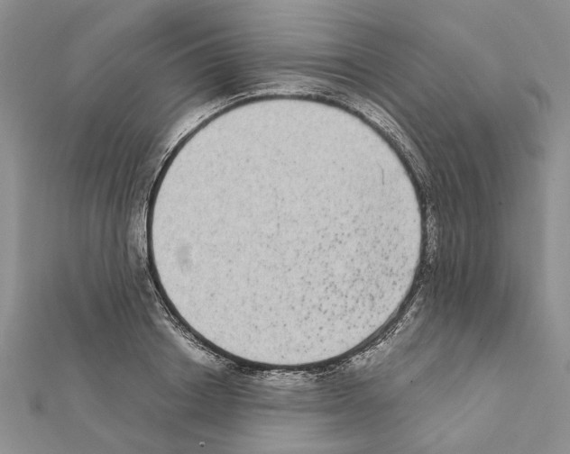 X0000111370842200908211317