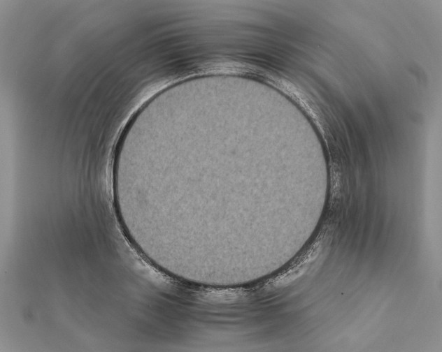 X0000111370843200908211317