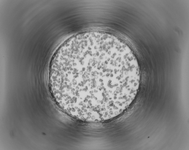 X0000111370844200908211317