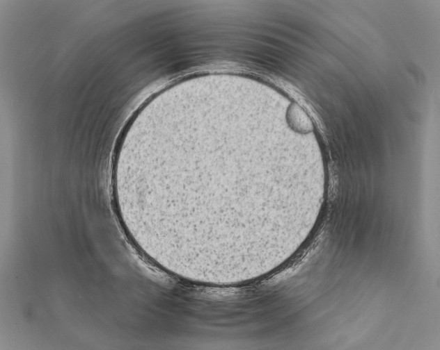X0000111370845200908211317