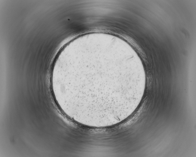 X0000111370846200908211317