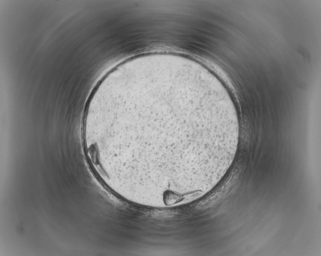 X0000111370847200908211317