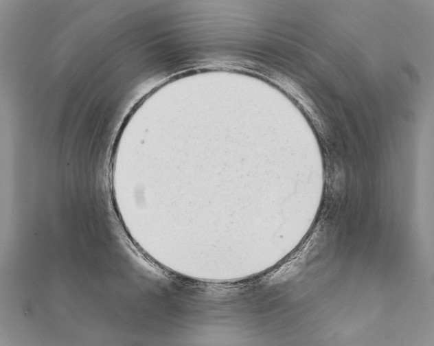 X0000111370848200908211317