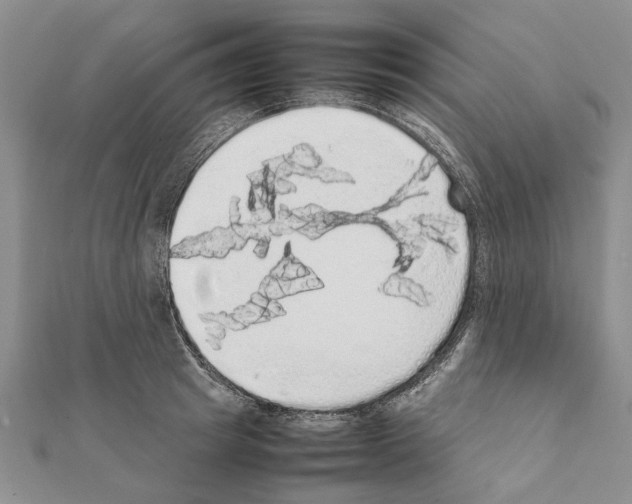 X0000111370849200908211317