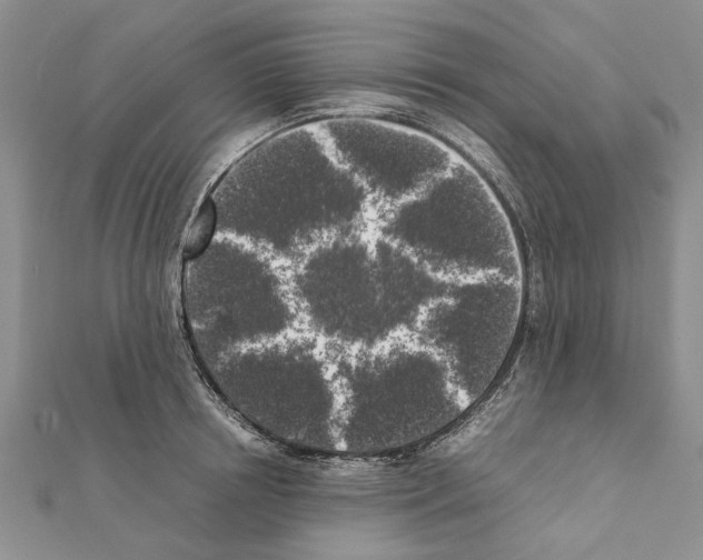 X0000111370850200908211317