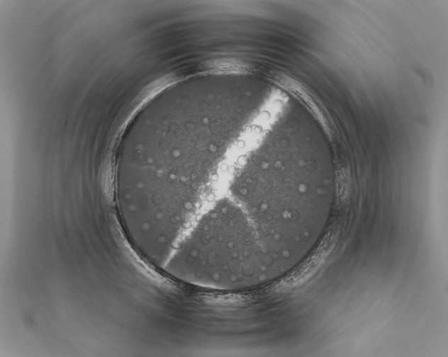 X0000111370851200908211317