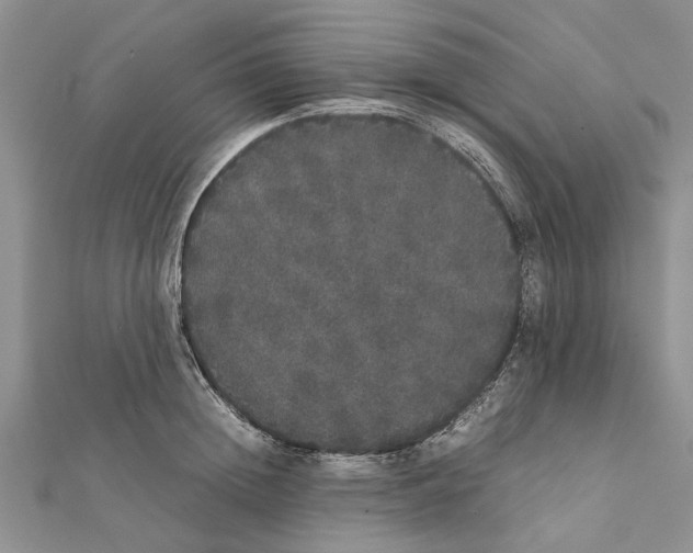 X0000111370852200908211317