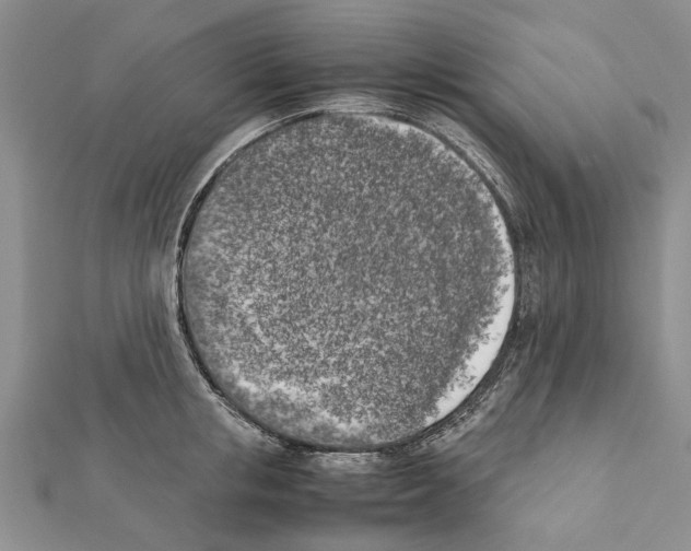 X0000111370853200908211317