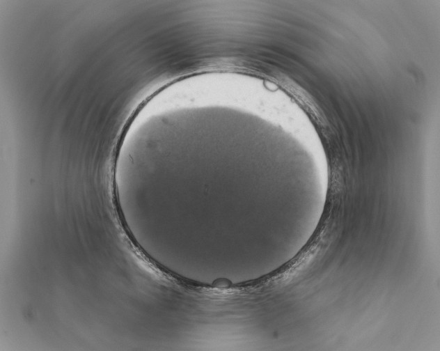 X0000111370854200908211317