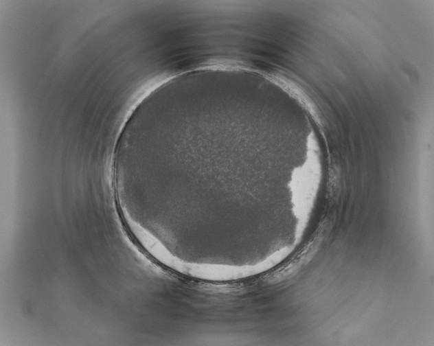 X0000111370855200908211317