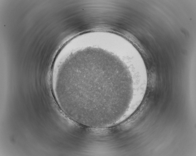 X0000111370856200908211317