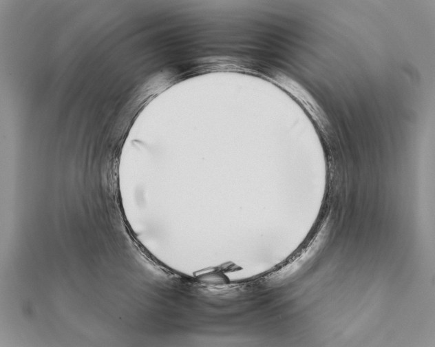 X0000111370857200908211317