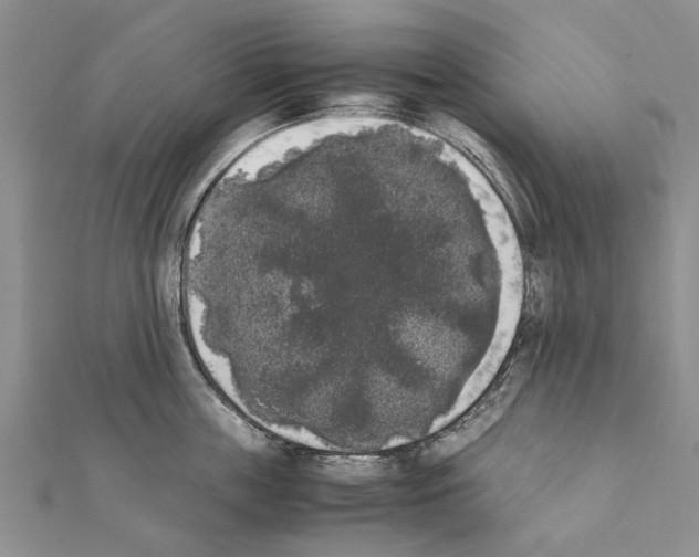 X0000111370859200908211317