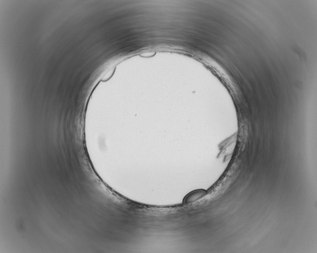 X0000111370860200908211317