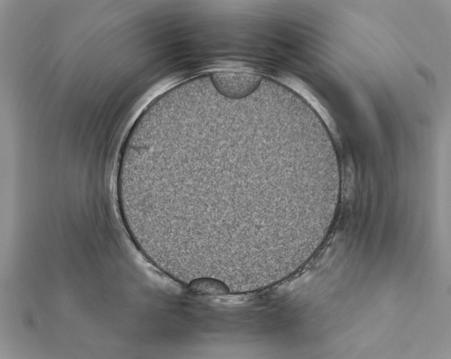 X0000111370861200908211317