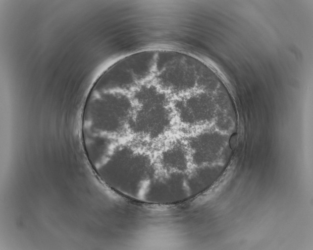 X0000111370862200908211317