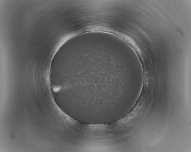 X0000111370863200908211317
