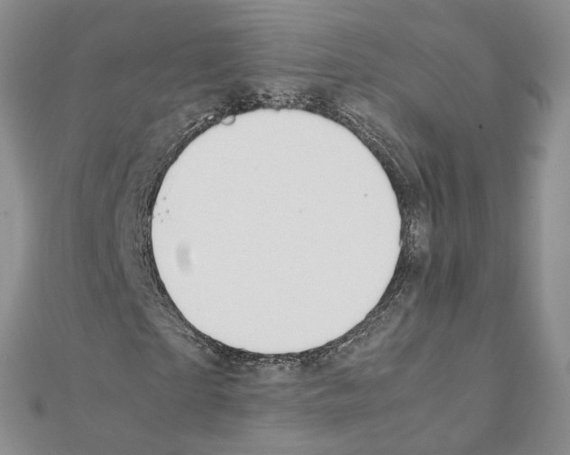 X0000111370865200908211316