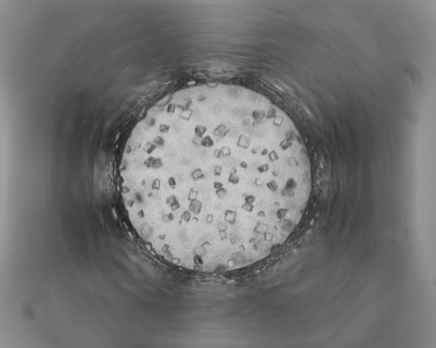 X0000111370866200908211316