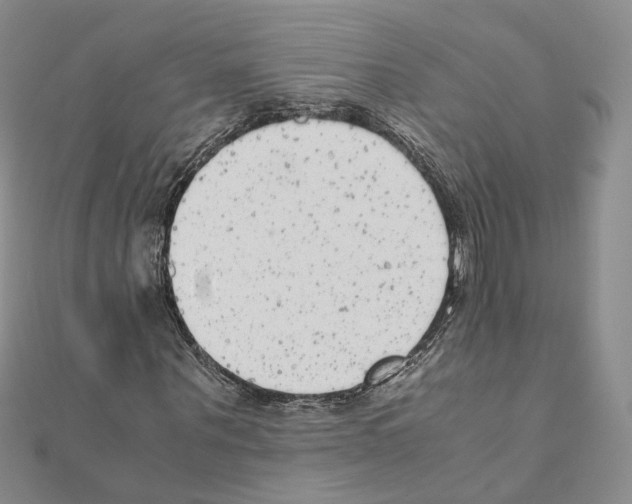X0000111370867200908211316