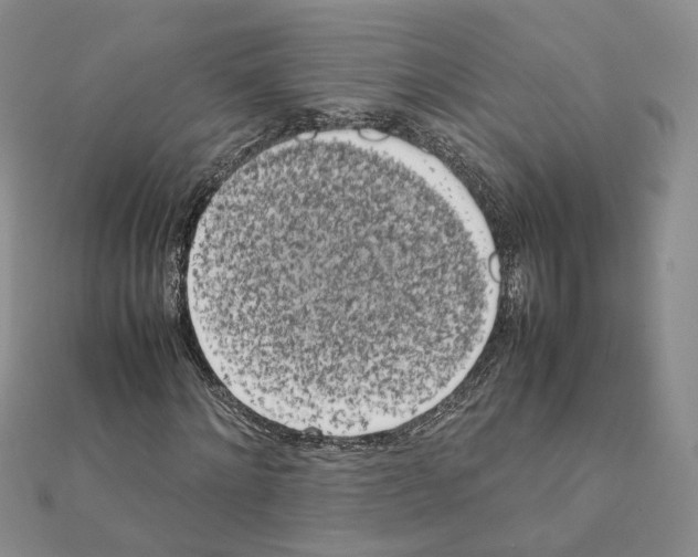X0000111370868200908211316