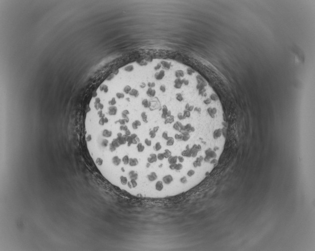 X0000111370870200908211316