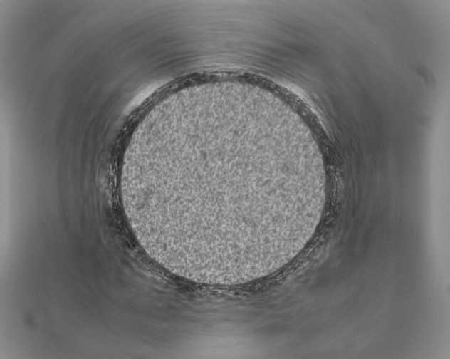 X0000111370871200908211316