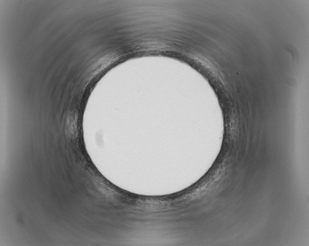 X0000111370873200908211316