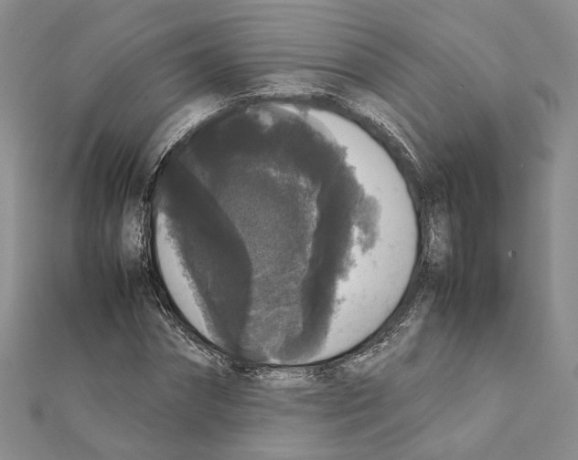 X0000111370874200908211316