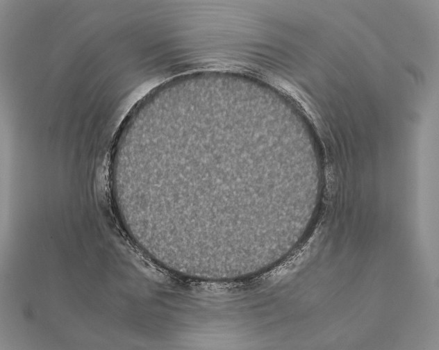 X0000111370875200908211316