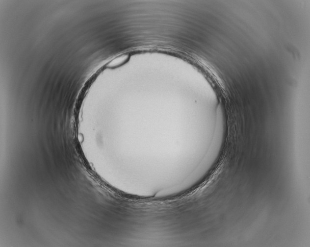 X0000111370876200908211316